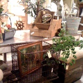 Judith McClellans ElizaInteriorsDesign sq.jpg